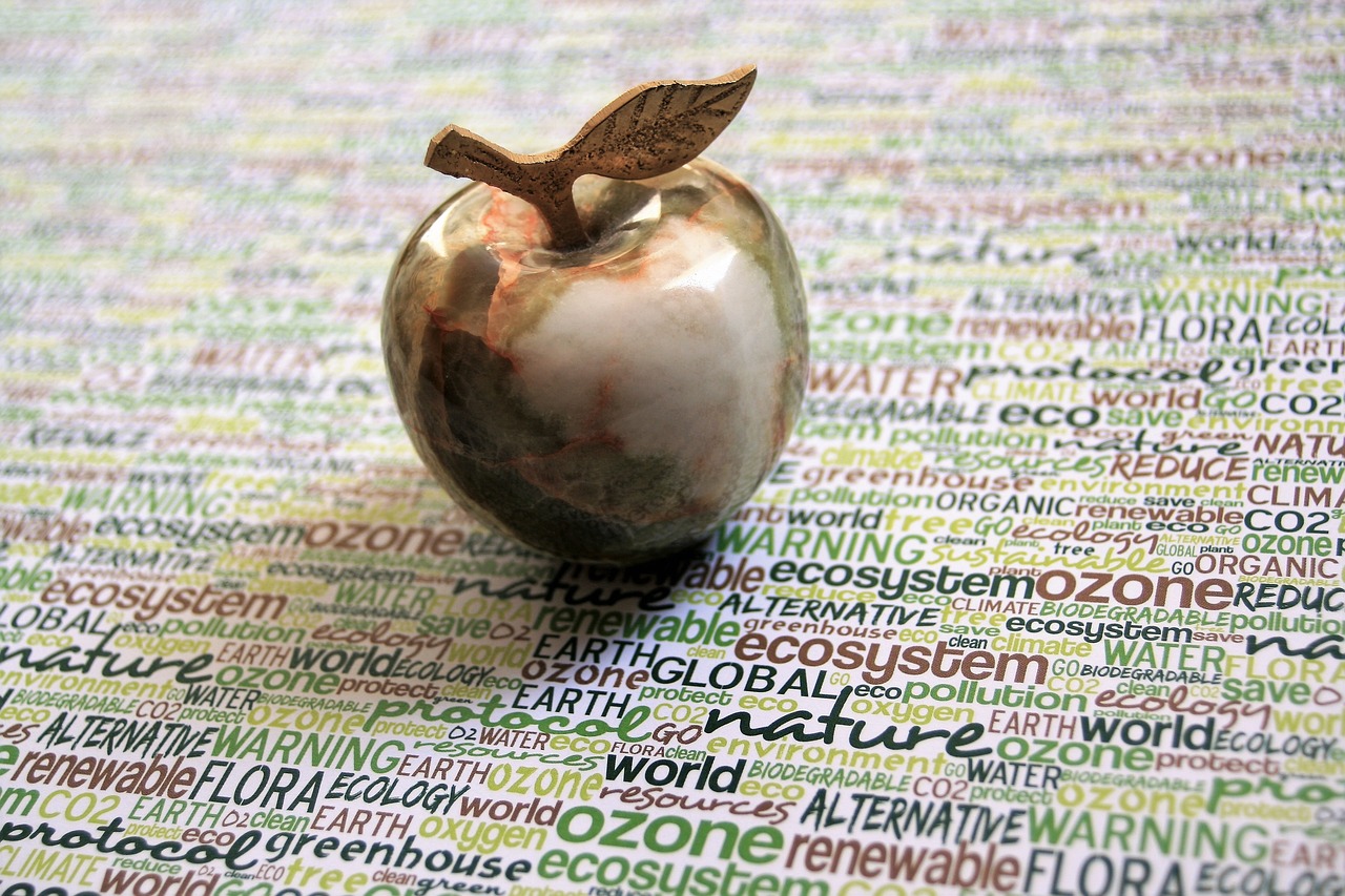 Creative and Sustainable DIY Home Projects